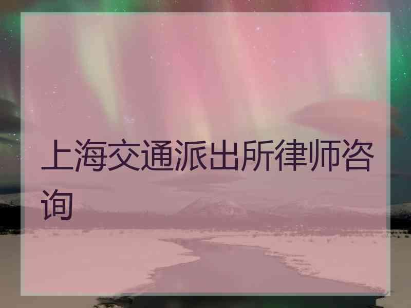 上海交通派出所律师咨询