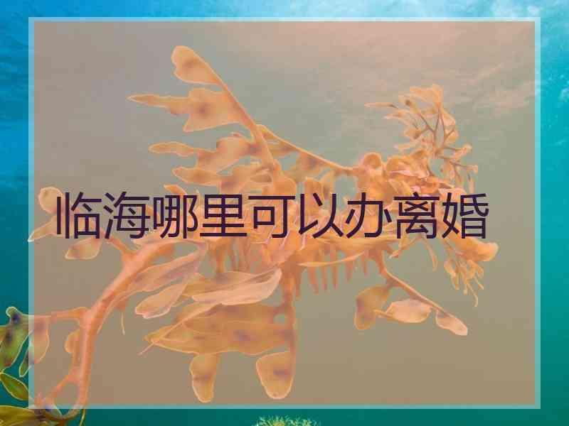 临海哪里可以办离婚