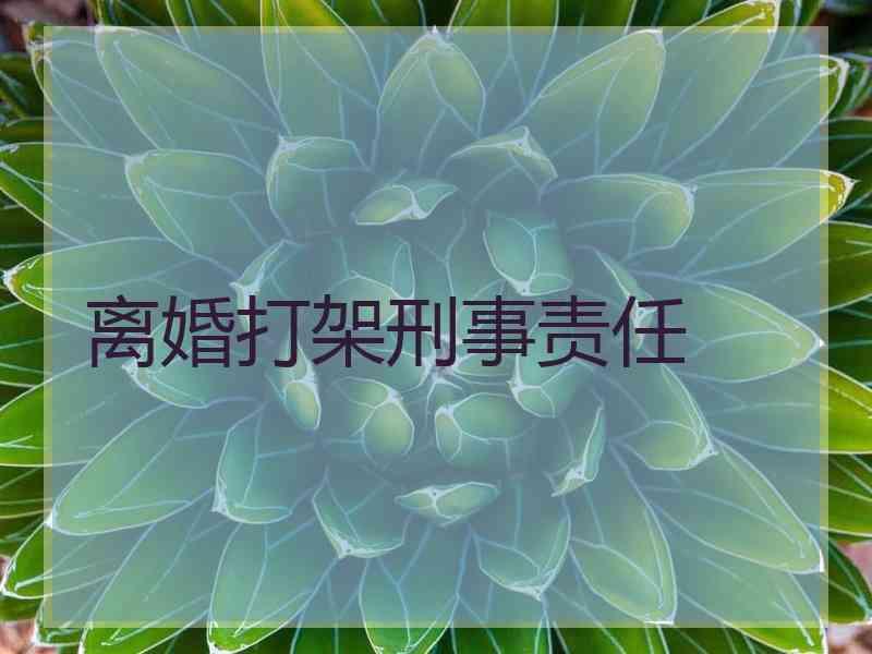 离婚打架刑事责任