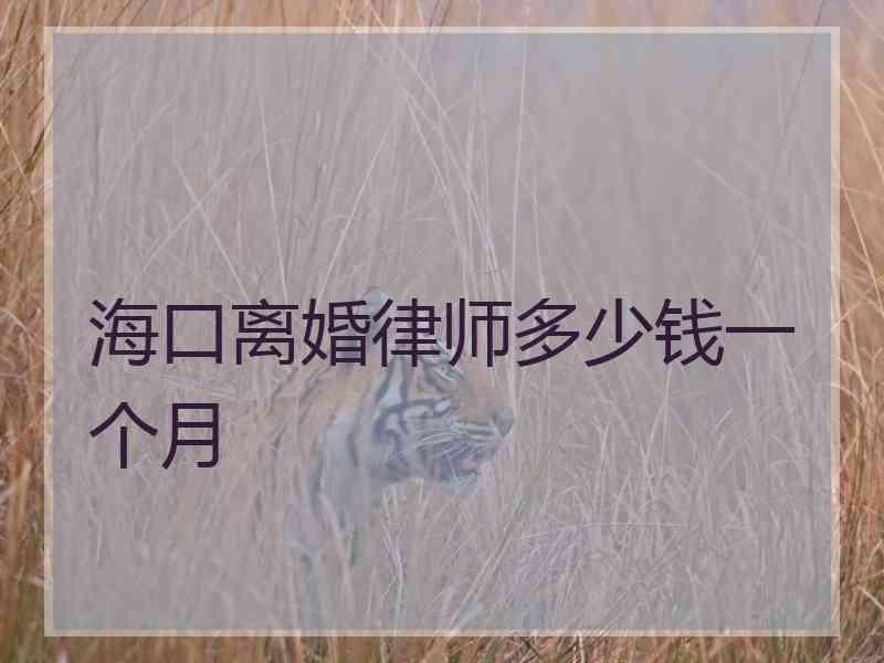 海口离婚律师多少钱一个月