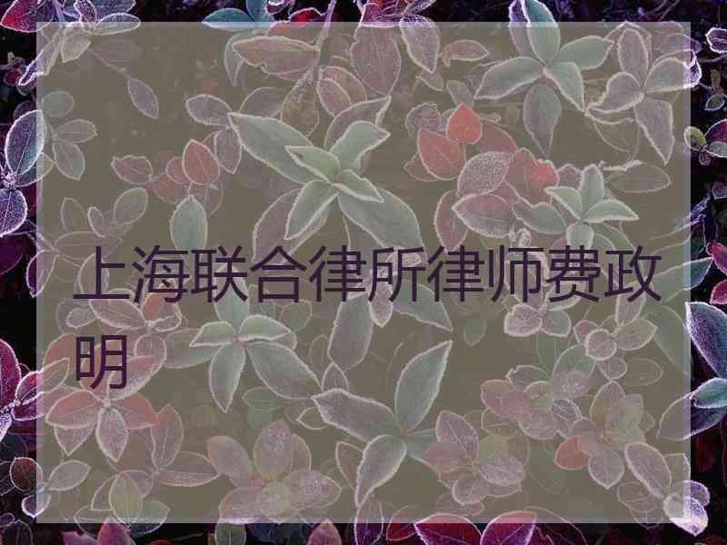 上海联合律所律师费政明