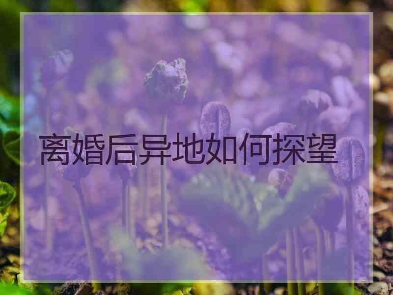 离婚后异地如何探望