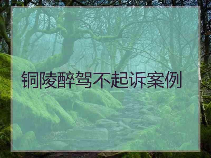 铜陵醉驾不起诉案例