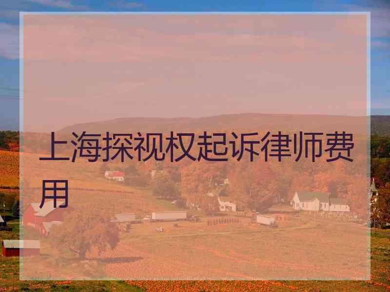 上海探视权起诉律师费用