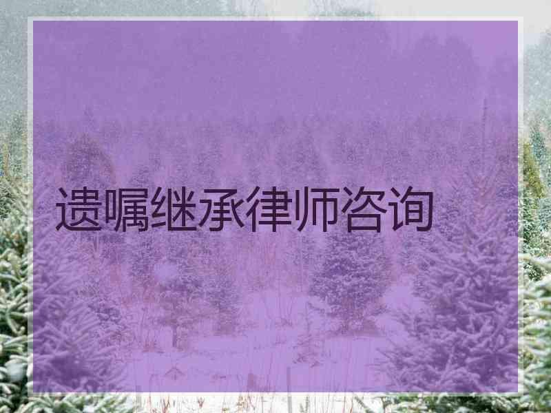 遗嘱继承律师咨询