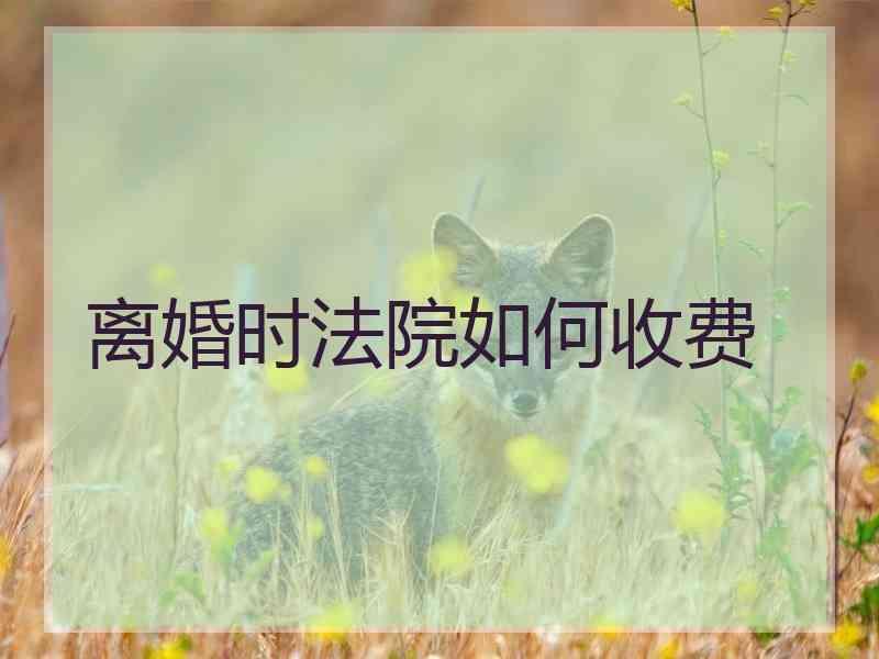 离婚时法院如何收费