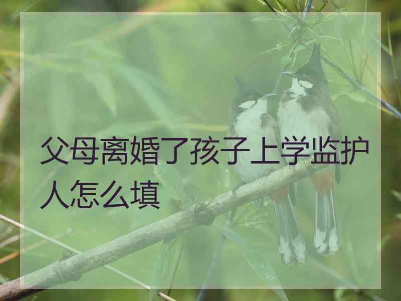 父母离婚了孩子上学监护人怎么填