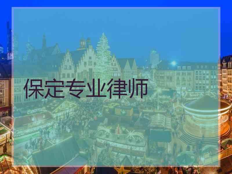 保定专业律师