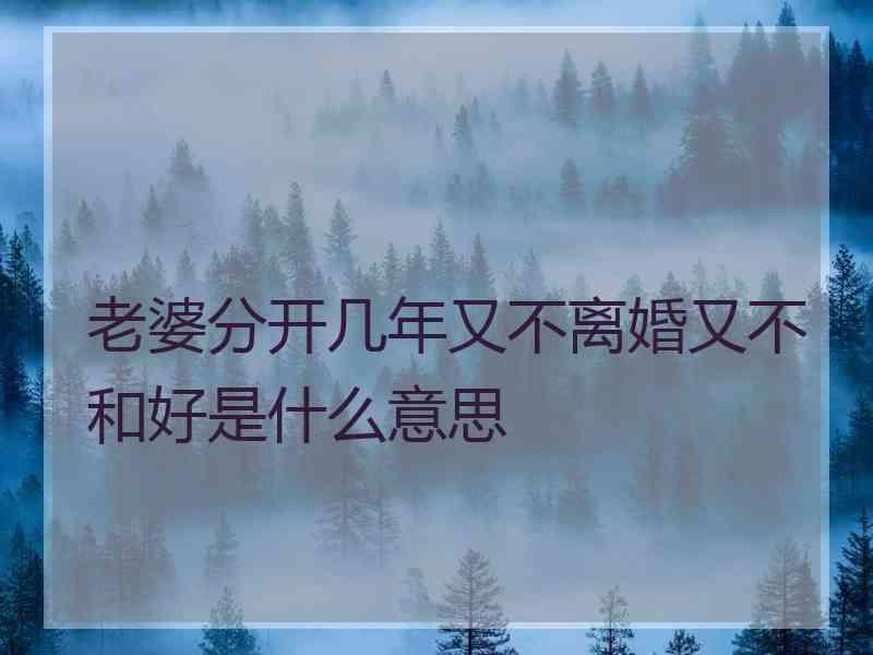 老婆分开几年又不离婚又不和好是什么意思