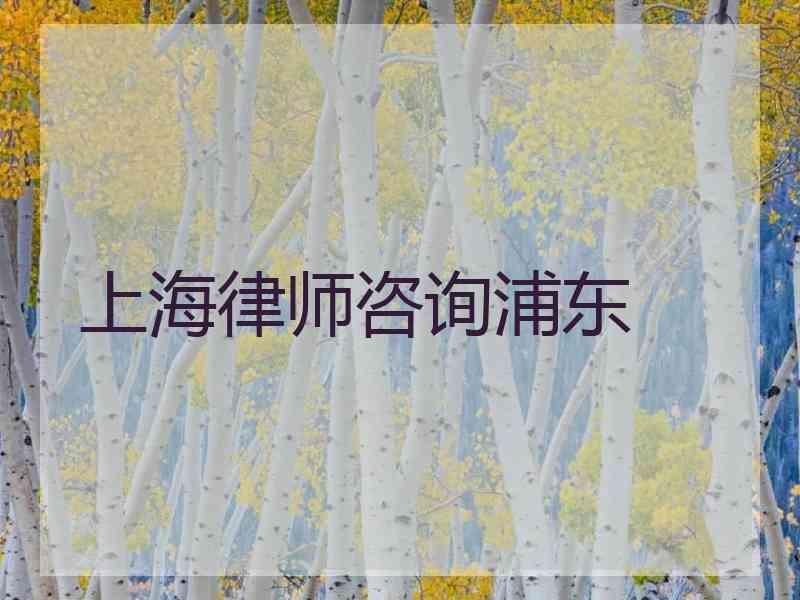 上海律师咨询浦东