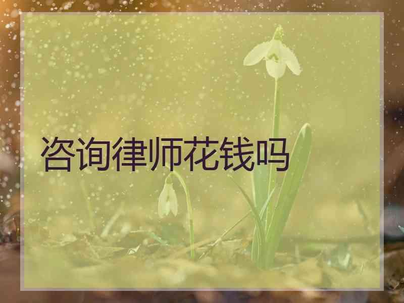 咨询律师花钱吗