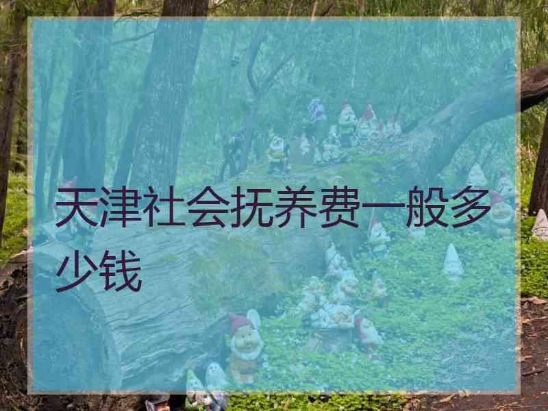 天津社会抚养费一般多少钱