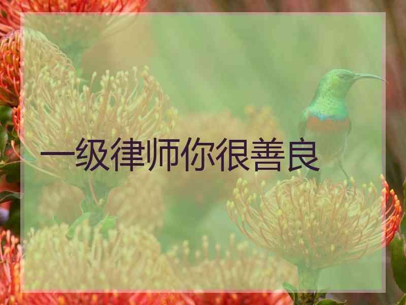 一级律师你很善良