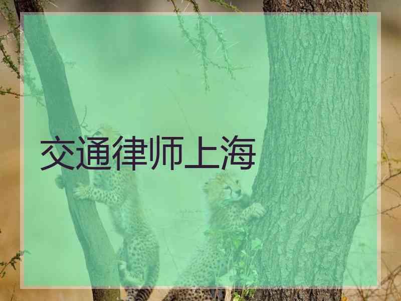 交通律师上海