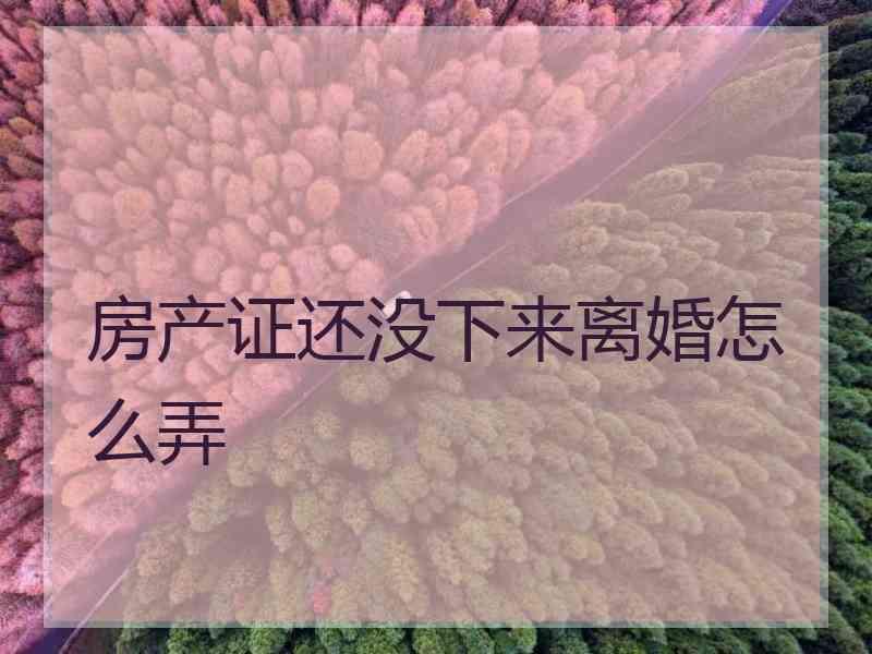 房产证还没下来离婚怎么弄