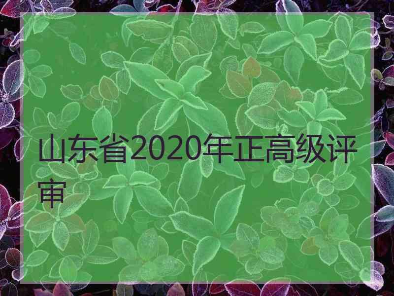 山东省2020年正高级评审