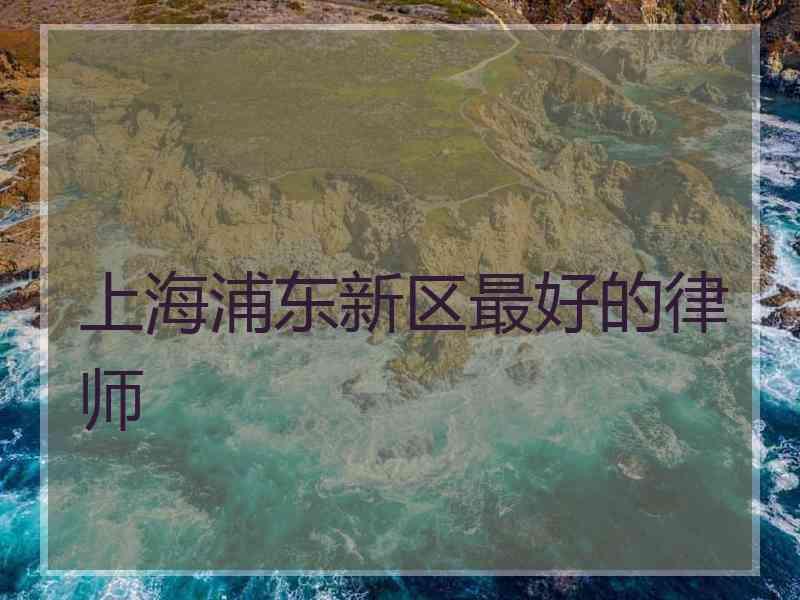 上海浦东新区最好的律师