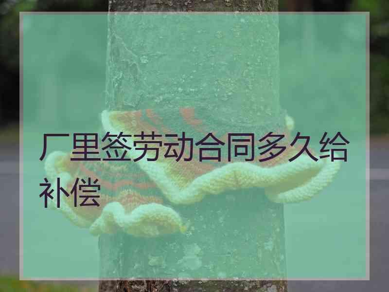 厂里签劳动合同多久给补偿