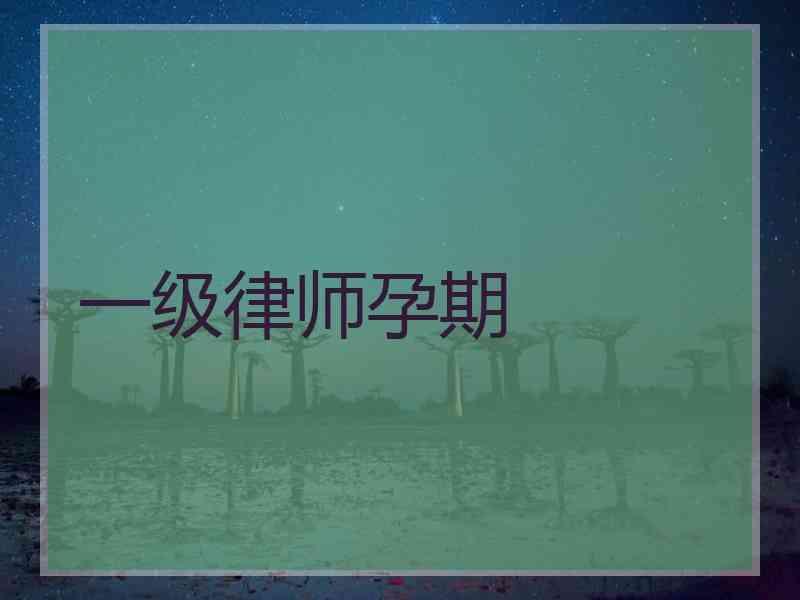 一级律师孕期