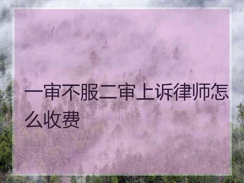 一审不服二审上诉律师怎么收费