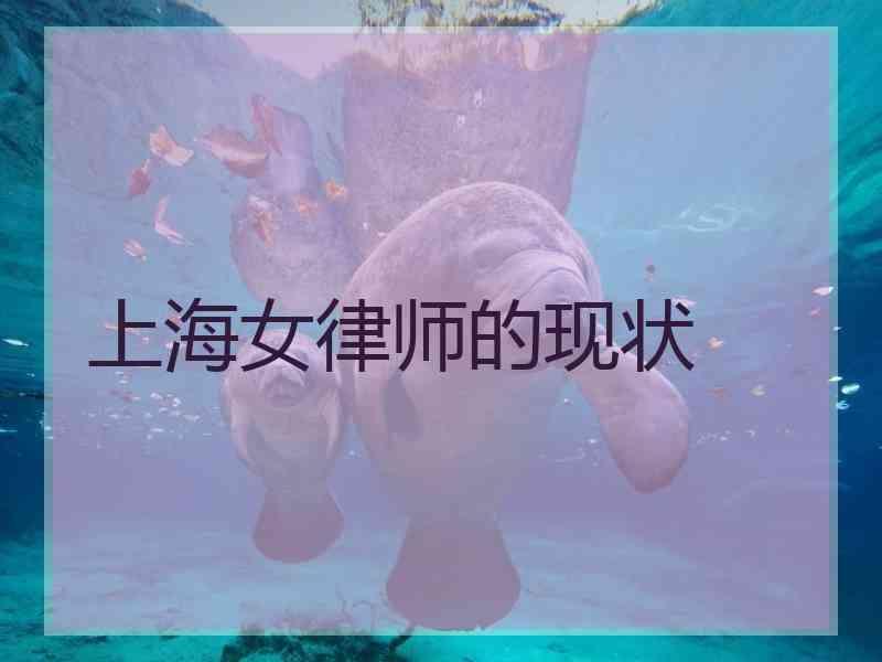 上海女律师的现状