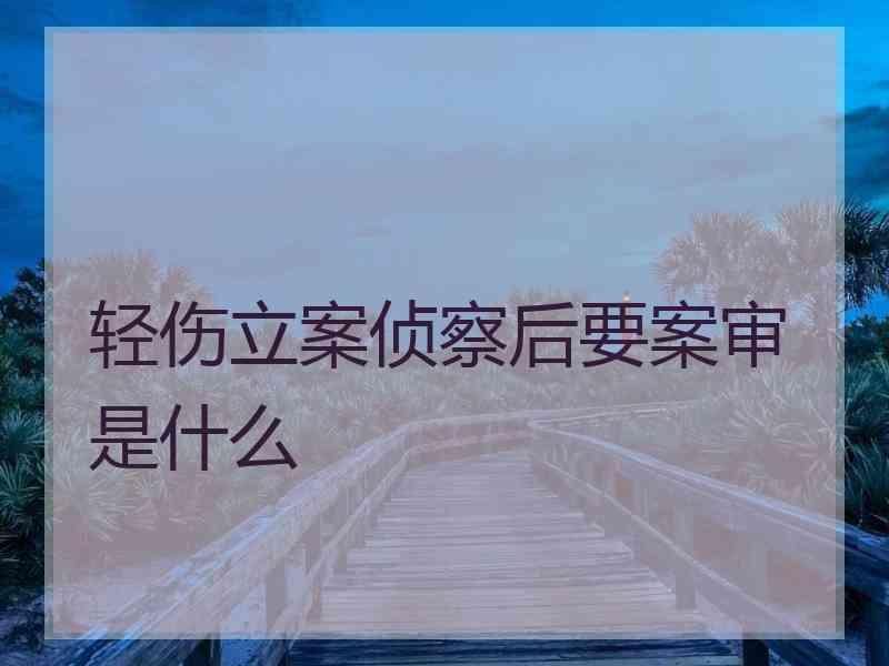 轻伤立案侦察后要案审是什么