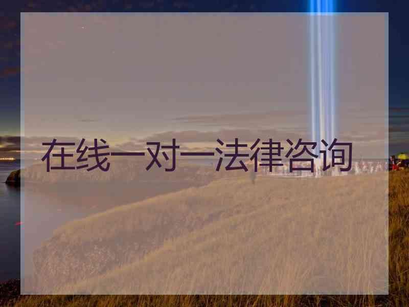 在线一对一法律咨询