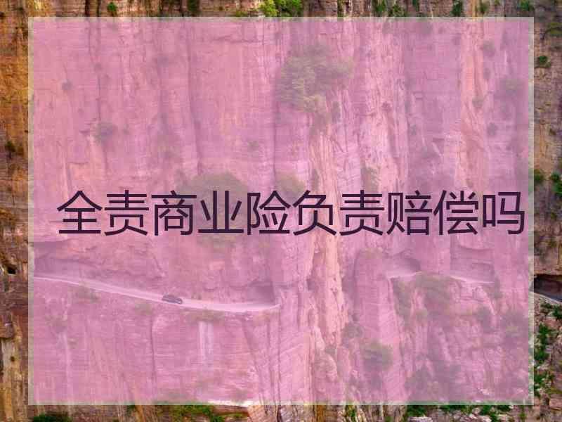 全责商业险负责赔偿吗