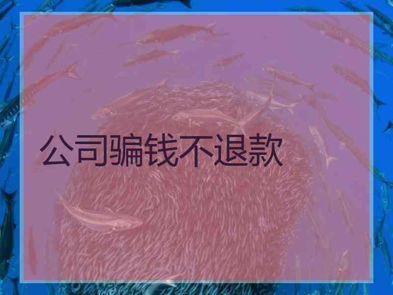 公司骗钱不退款