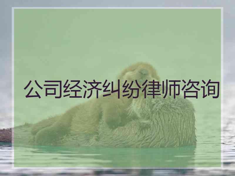 公司经济纠纷律师咨询