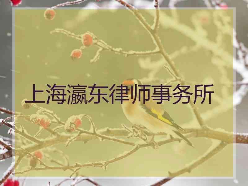 上海瀛东律师事务所