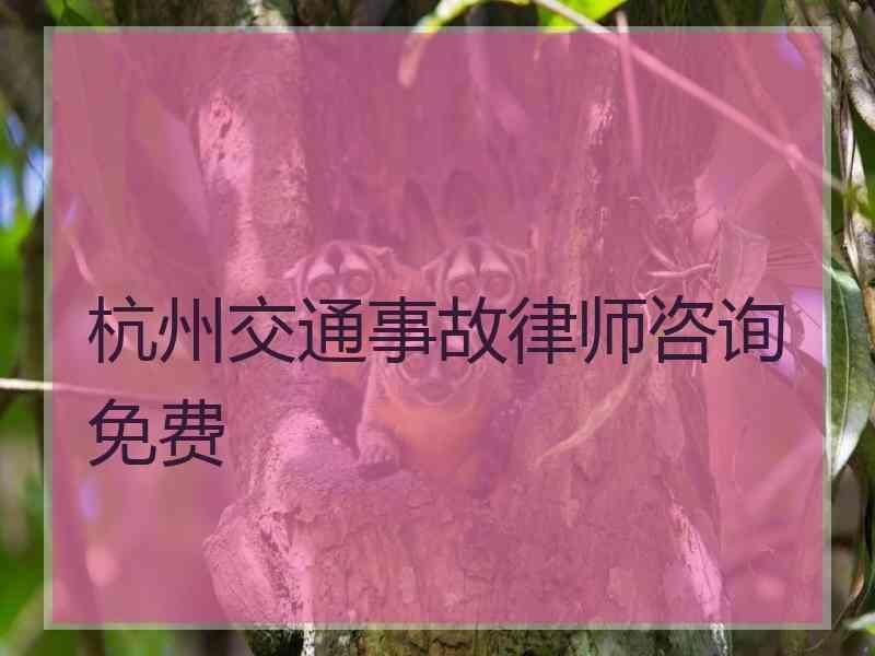 杭州交通事故律师咨询免费