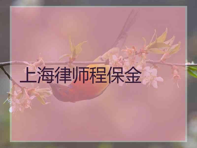 上海律师程保金