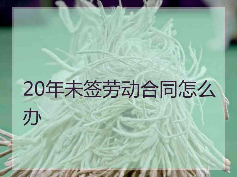 20年未签劳动合同怎么办