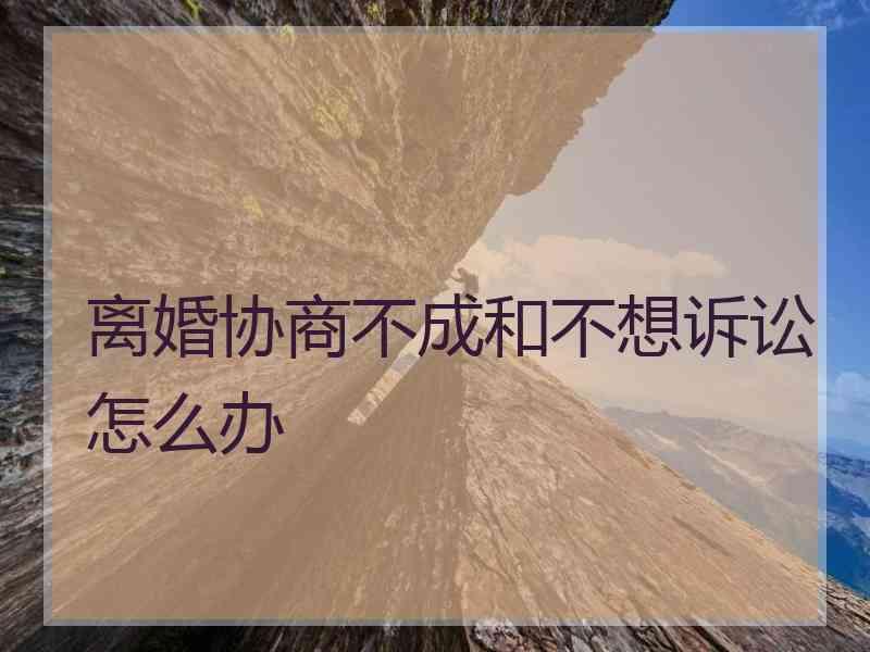 离婚协商不成和不想诉讼怎么办
