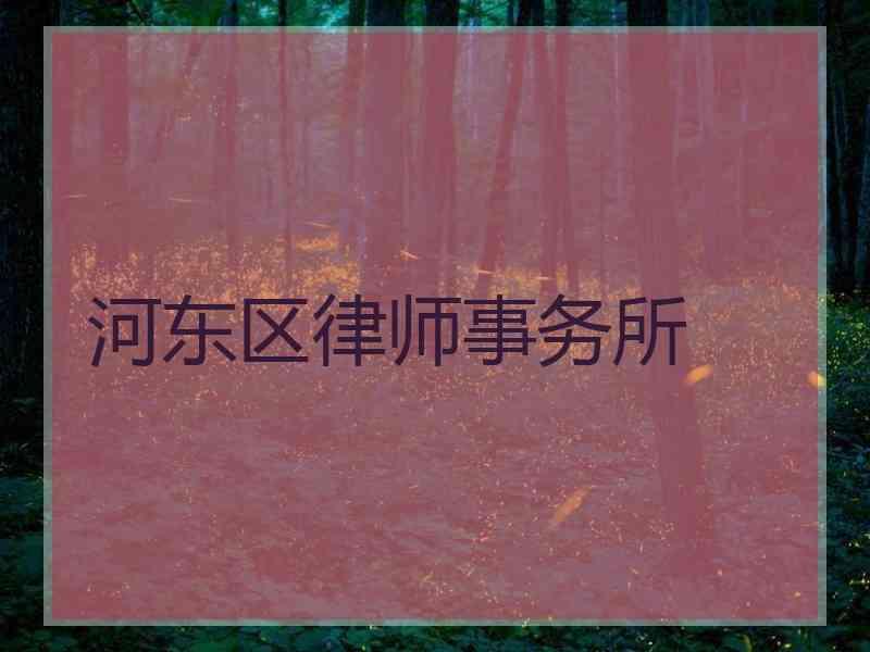 河东区律师事务所