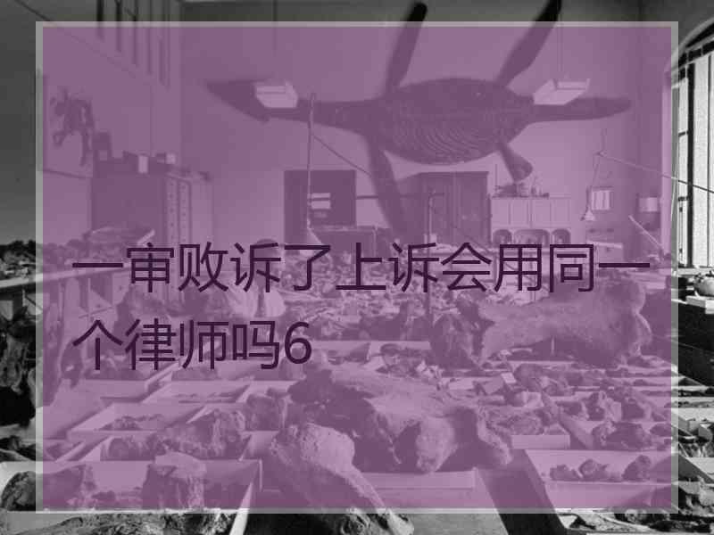 一审败诉了上诉会用同一个律师吗6