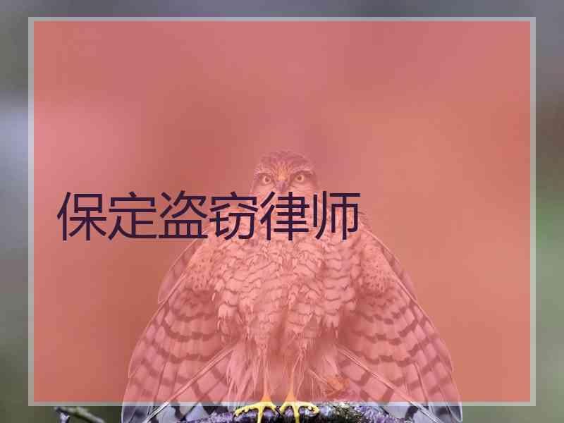 保定盗窃律师