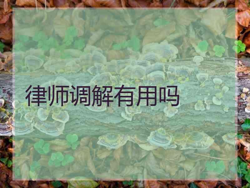 律师调解有用吗