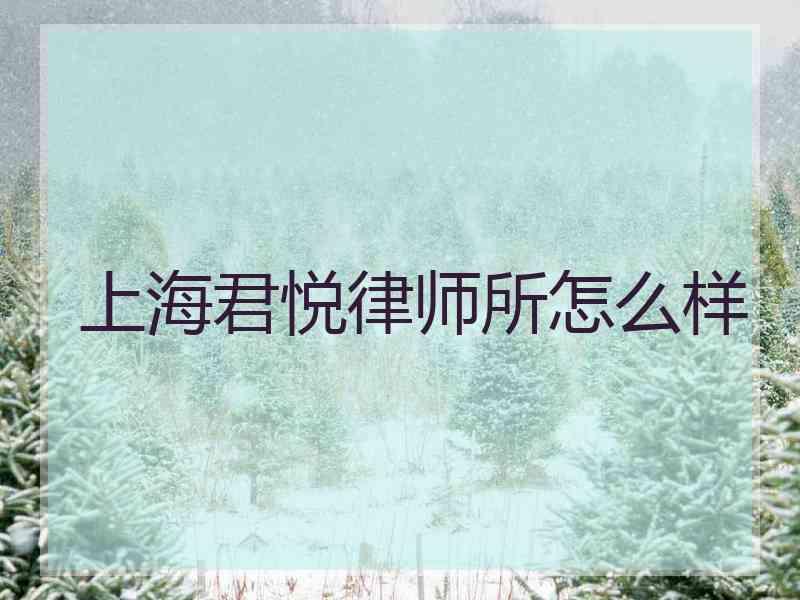 上海君悦律师所怎么样