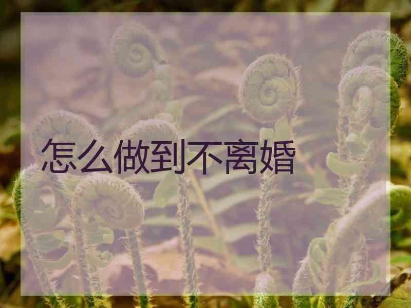 怎么做到不离婚