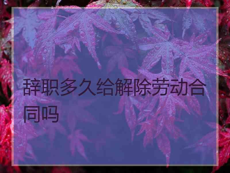 辞职多久给解除劳动合同吗