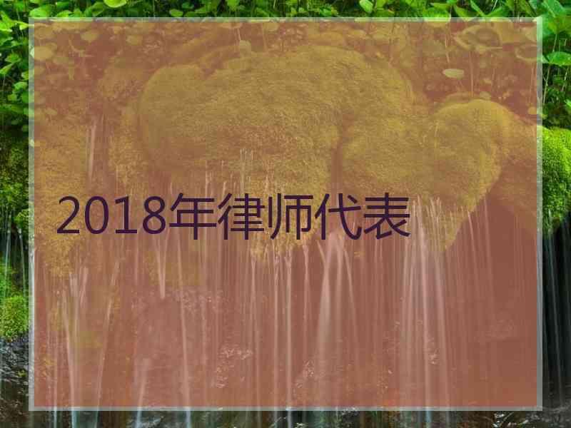 2018年律师代表