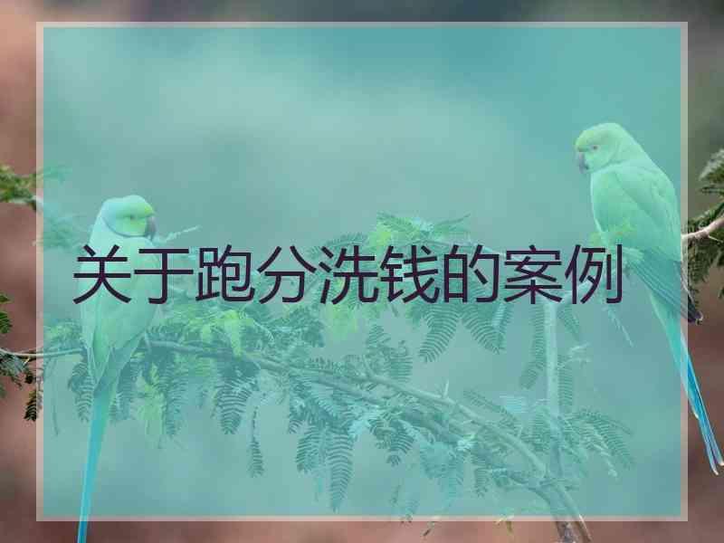 关于跑分洗钱的案例