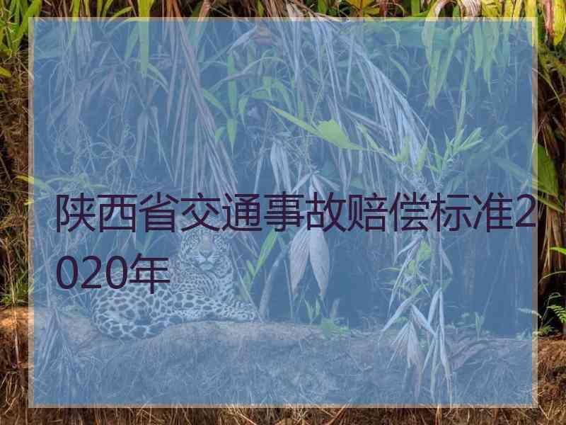 陕西省交通事故赔偿标准2020年