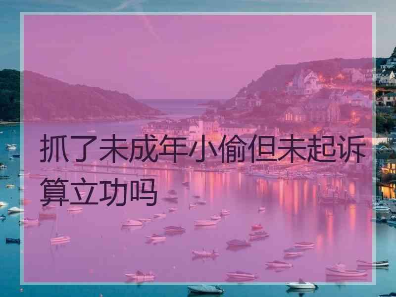 抓了未成年小偷但未起诉算立功吗