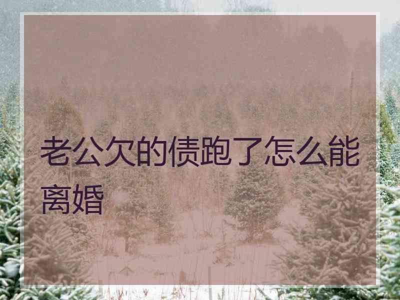 老公欠的债跑了怎么能离婚