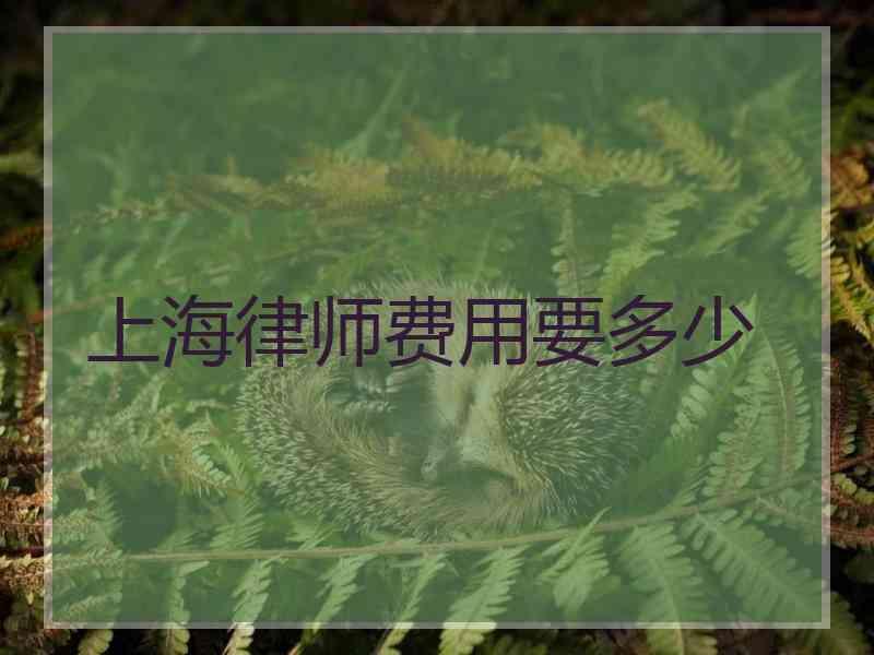 上海律师费用要多少