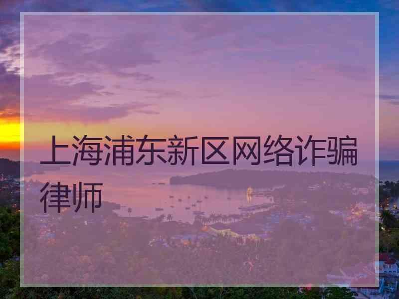 上海浦东新区网络诈骗律师