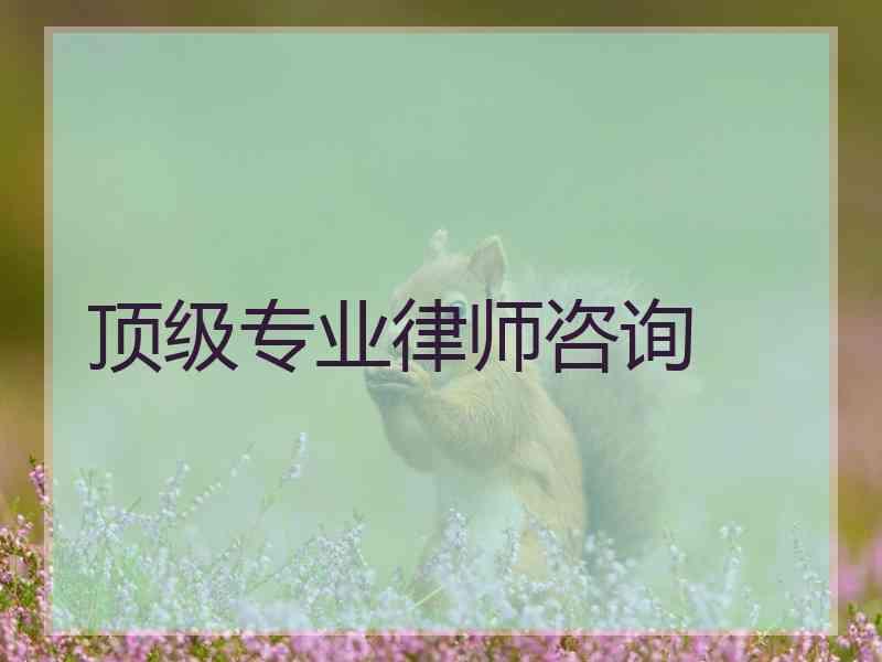 顶级专业律师咨询